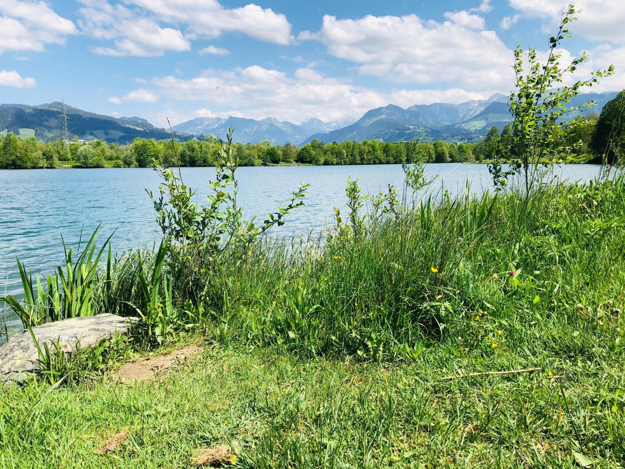 Schoenes Apartment Mit Traumhaftem Bergblick! Билердорф Экстерьер фото